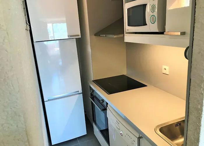 Cosy Au Pied Des Pistes Au Centre Des Deux Alpes - Fr-1-516-99